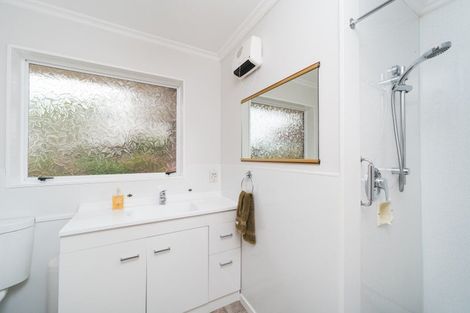 Photo of property in 45 Dittmer Drive, Awapuni, Palmerston North, 4412