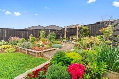 Photo of property in 22 Olney Court, One Tree Point, 0118