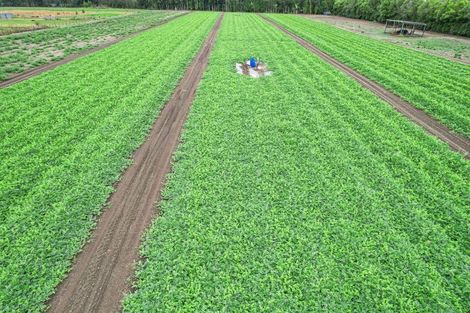 Photo of property in 444 Paton Road, Hope, Richmond, 7081