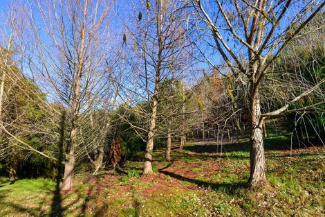 Photo of property in 81 Nilgiri Road, Poraiti, Napier, 4182