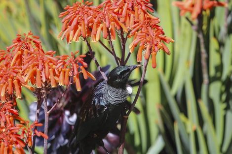 Photo of property in 229 Te Hapua Road, Te Horo, Otaki, 5581