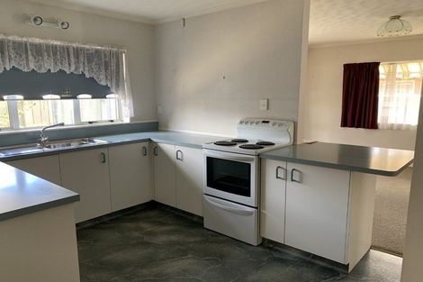 Photo of property in 18 Manchester Street, Levin, 5510