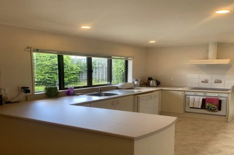 Photo of property in 20 Maurice Borich Place, Henderson, Auckland, 0610