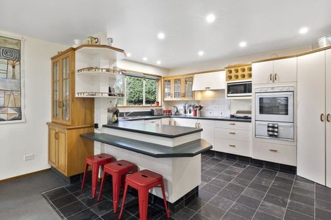 Photo of property in 16 Ribbonwood Close, Normanby, Dunedin, 9010