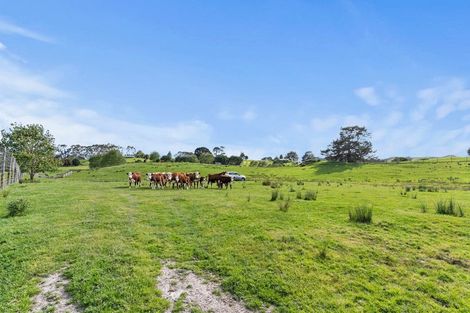 Photo of property in 132b Gatfield Road, Kaukapakapa, 0873