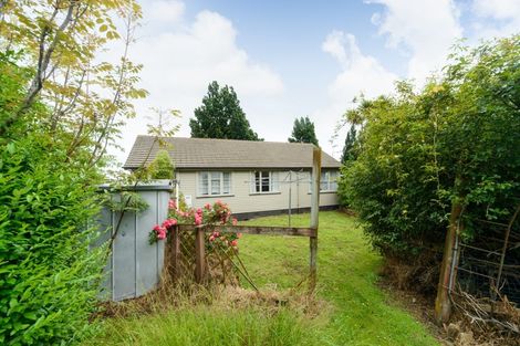 Photo of property in 9 Belfast Place, Roslyn, Palmerston North, 4414