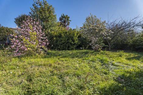 Photo of property in 113 Twelfth Avenue, Tauranga South, Tauranga, 3112