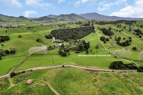 Photo of property in 199 Avoca Road, Mamaranui, Dargaville, 0372