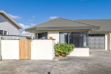 Photo of property in 9a York Street, Levin, 5510