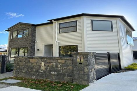 Photo of property in 65a Seabrook Avenue, New Lynn, Auckland, 0600