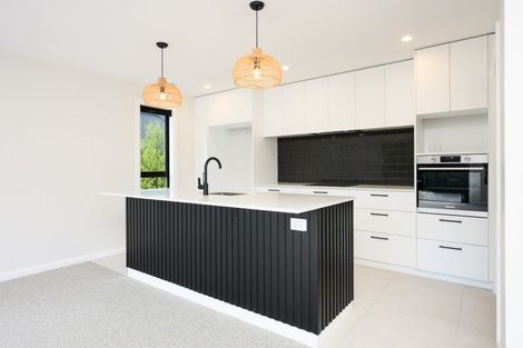 Photo of property in 46 Napier Road, Terrace End, Palmerston North, 4410