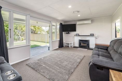 Photo of property in 93 Cockburn Street, Kuripuni, Masterton, 5810