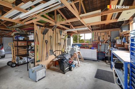 Photo of property in 84 Barr Street, Kenmure, Dunedin, 9011