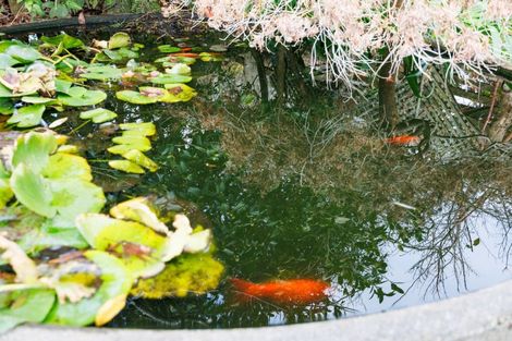 Photo of property in 3 Worsfold Lane, Terrace End, Palmerston North, 4410