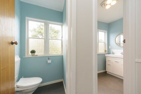 Photo of property in 37 Wyndham Street, Ashhurst, 4810