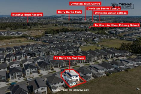 Photo of property in 18 Barley Road, Flat Bush, Auckland, 2019