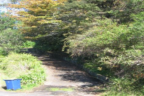 Photo of property in 123 Laingholm Drive, Laingholm, Auckland, 0604