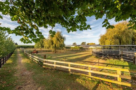 Photo of property in 81 Racecourse Road, Cambridge, 3493