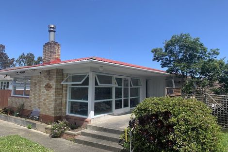 Photo of property in 109 Universal Drive, Henderson, Auckland, 0610