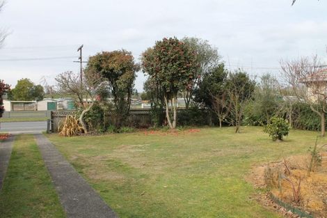 Photo of property in 101 Arapuni Street, Putaruru, 3411
