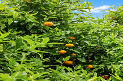 Photo of property in 21b Hatton Road, Orewa, 0931