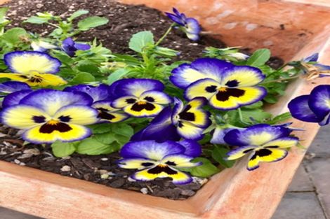 Photo of property in 3 Wirihana Road, Titirangi, Auckland, 0602