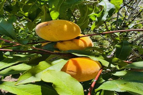 Photo of property in 3043 Far Road North, Waiharara, Kaitaia, 0484