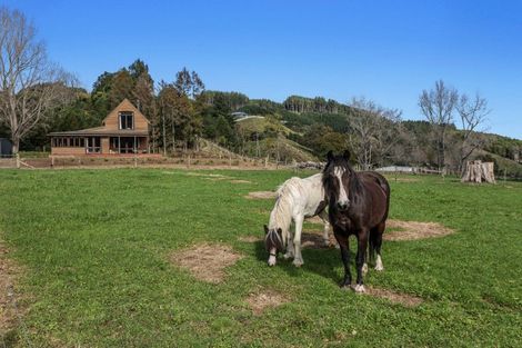 Photo of property in 1335 Manawahe Road, Manawahe, Whakatane, 3194
