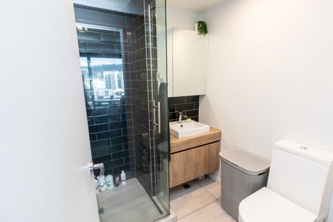 Photo of property in Pinnacle Apartments, E903/160 Victoria Street, Te Aro, Wellington, 6011