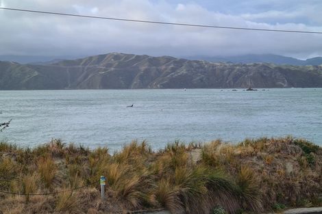 Photo of property in 191 Marine Parade, Seatoun, Wellington, 6022