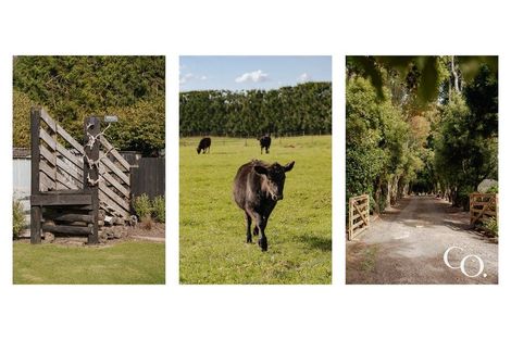 Photo of property in 573b Mclaren Falls Road, Omanawa, Tauranga, 3171