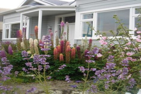 Photo of property in 643 Highgate, Maori Hill, Dunedin, 9010