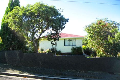Photo of property in 42 Hastings Street, Wakari, Dunedin, 9010