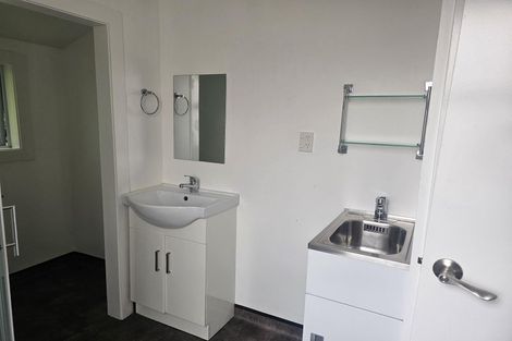 Photo of property in 17 Adams Terrace, Aro Valley, Wellington, 6021