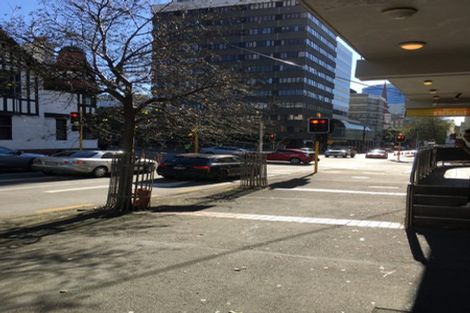 Photo of property in Quest/richard Pearse Apartment, 8/219a Willis Street, Te Aro, Wellington, 6011