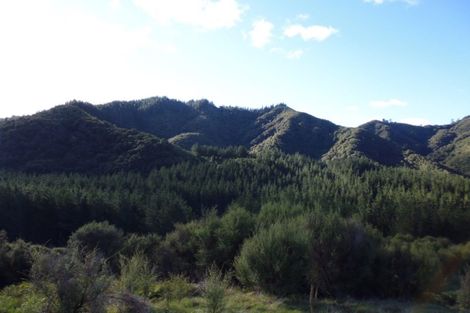 Photo of property in 1677 Takaputahi Road, Toatoa, Opotiki, 3197
