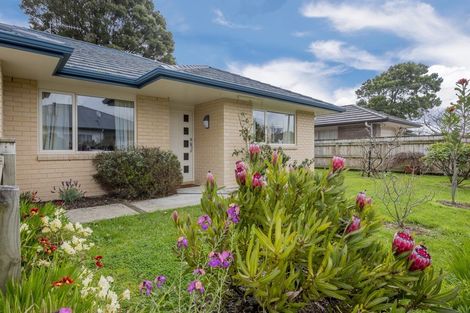 Photo of property in 71 Rugby Street, Levin, 5510