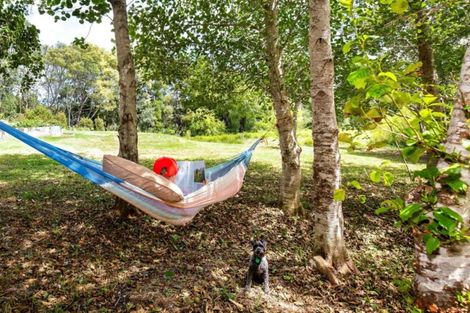 Photo of property in 364 Oneriri Road, Kaiwaka, 0573