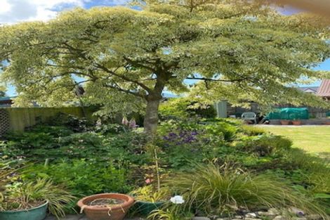 Photo of property in 6 Isaac Wilson Road, Kaiapoi, 7630