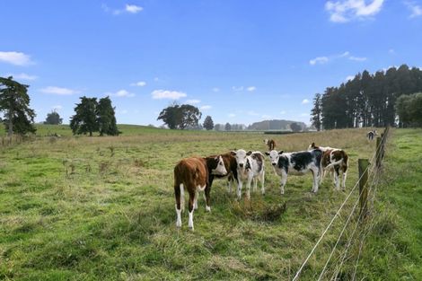 Photo of property in 225 Koromatua Road, Temple View, Hamilton, 3290