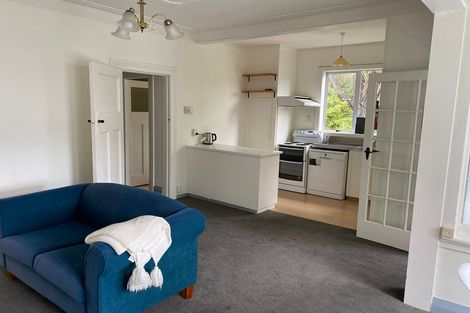 Photo of property in 41a Garfield Avenue, Roslyn, Dunedin, 9010