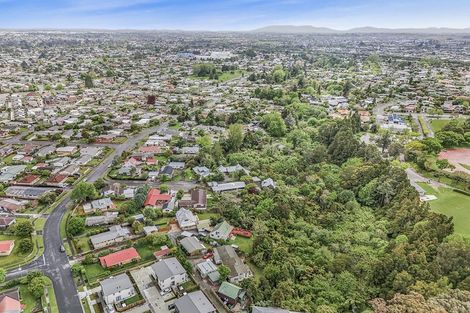 Photo of property in 43 Winstone Avenue, Chartwell, Hamilton, 3210