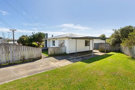 Photo of property in 41 Leicester Street, Cannons Creek, Porirua, 5024