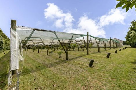 Photo of property in 280 Corbett Road, Paraite, New Plymouth, 4373