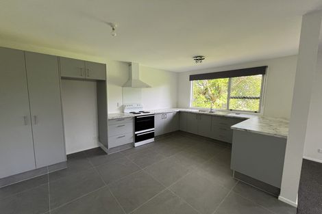 Photo of property in 192 Fred Taylor Drive, Whenuapai, Auckland, 0814