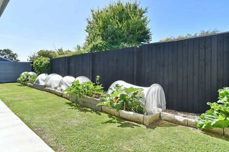 Photo of property in 3/162 Bordesley Street, Phillipstown, Christchurch, 8011