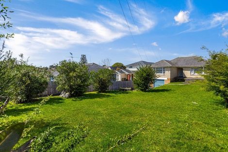 Photo of property in 58 Hutchinson Avenue, New Lynn, Auckland, 0600