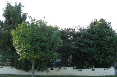 Photo of property in 98 Asquith Avenue, Mount Albert, Auckland, 1025