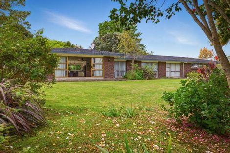 Photo of property in 137 Boucher Avenue, Te Puke, 3119