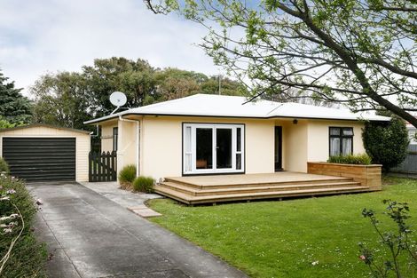 Photo of property in 117 Rugby Street, Awapuni, Palmerston North, 4412